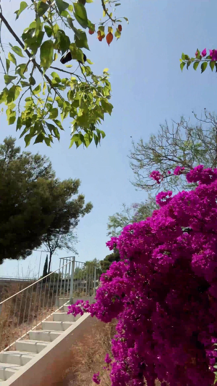 Paul Williams: Chodit nahý na parkovišti, dokud mě neodhalí