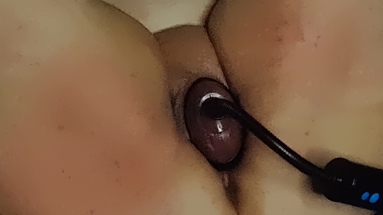 Ramblin Rows: Jeu de pompage de chatte