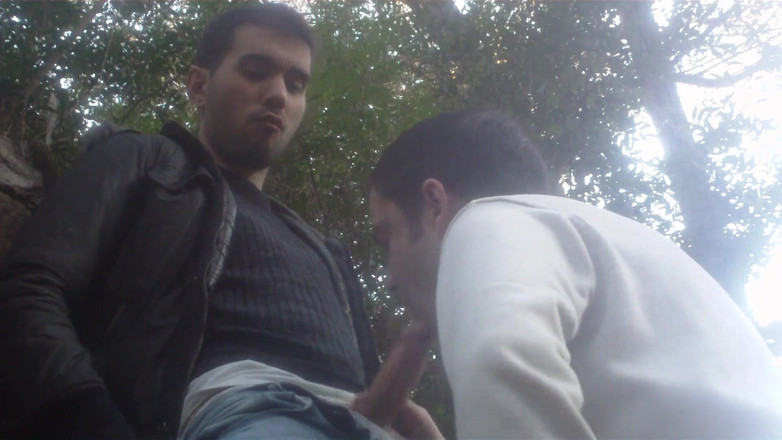 Robyn 3Some: 屋外でのセックス