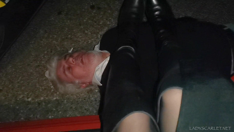 Lady Scarlet: Lady Scarlet - avant d'entrer dans la maison