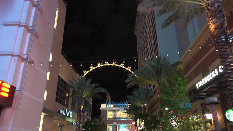 ATK Fans (Girlfriends): Virtual vacation Las Vegas Lucie Kleine 1/2