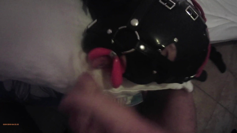 LauraOnHeels: Laura is hogtied in latex catsuite and high heels, throated...