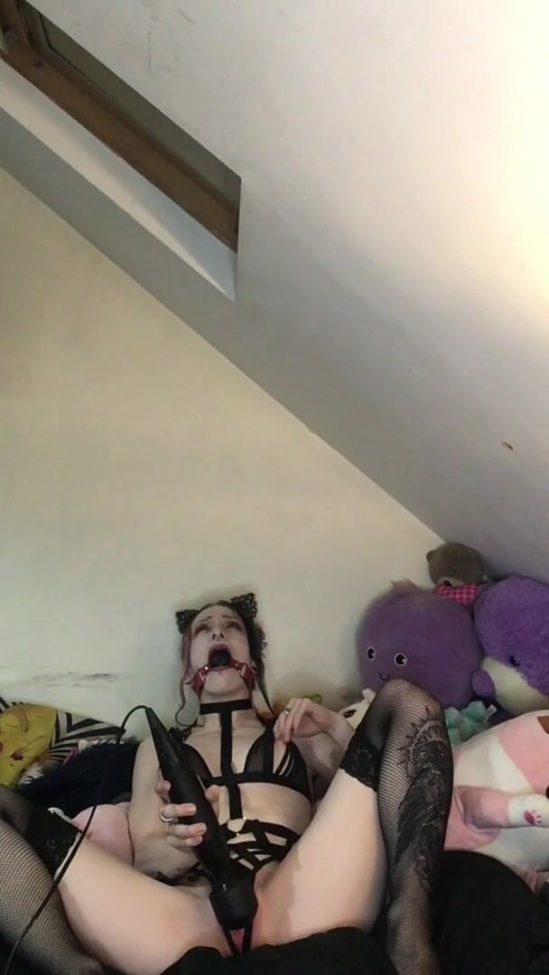 Rokkyhorrorx: Kitty tersedak miang cuba menjadi senyap