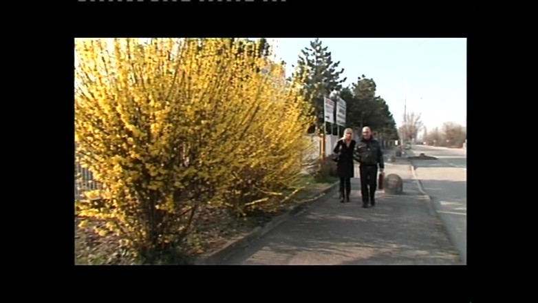 69 Italian District: Fiica vitregă nelegitimă