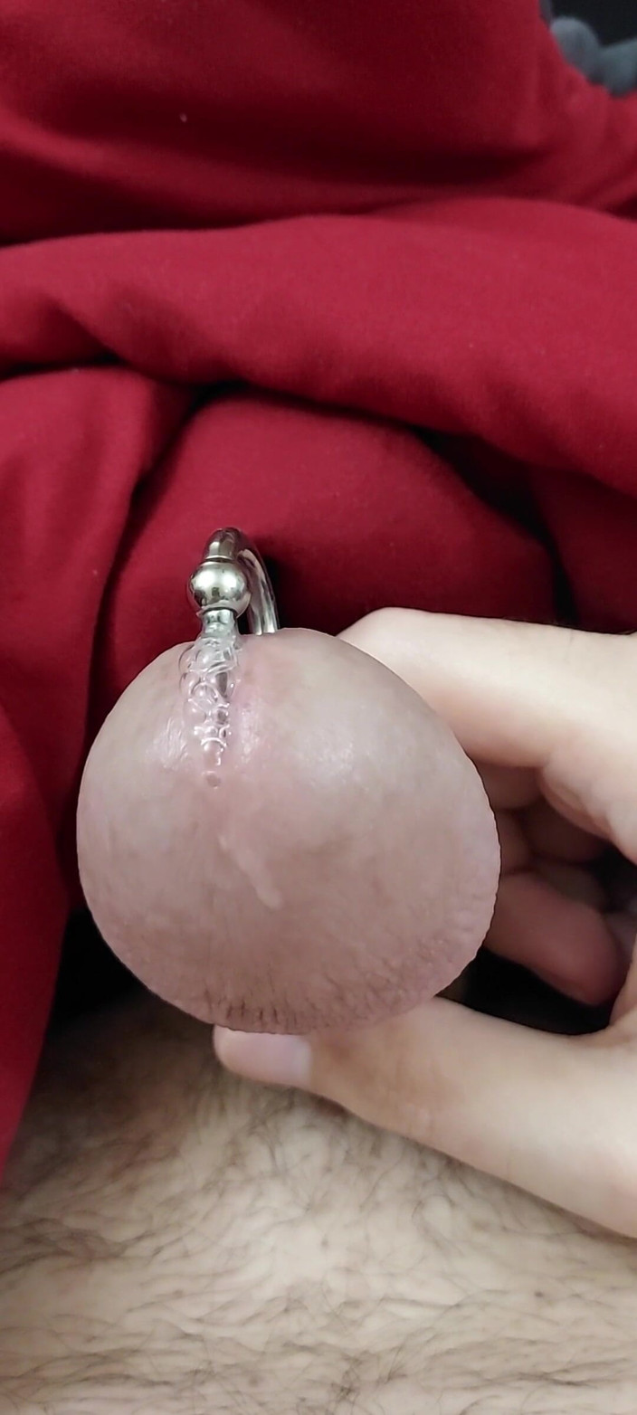 CosmicKastaway: Honění mého prince albert ptáka