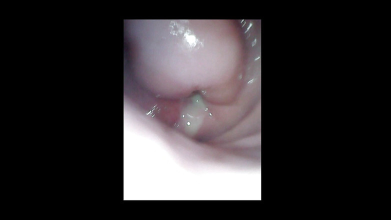 LizAngel: olízni mě dovnitř