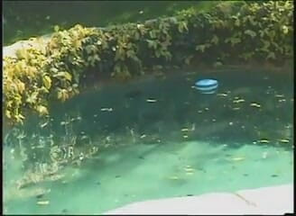 American Idol X: Sexy black ass loves the white cock