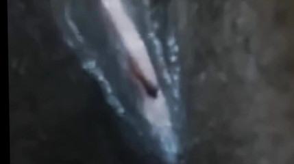 Cuteteddy: Panna se cítí tak nadržená