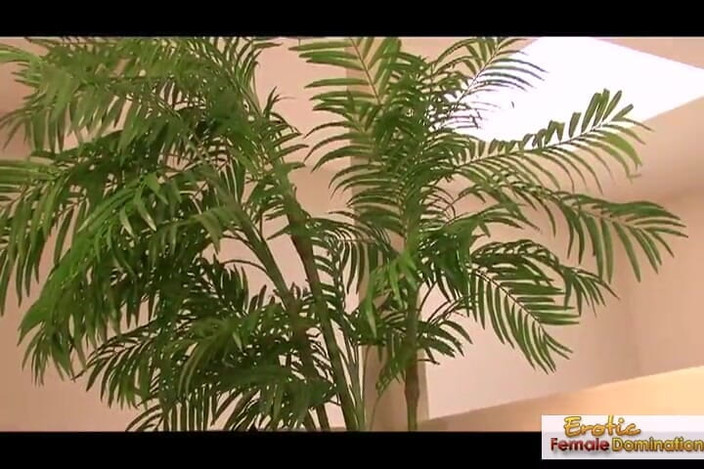 Erotic Female Domination: Dewi eboni berpantat gelembung mengongkek playa sebenar