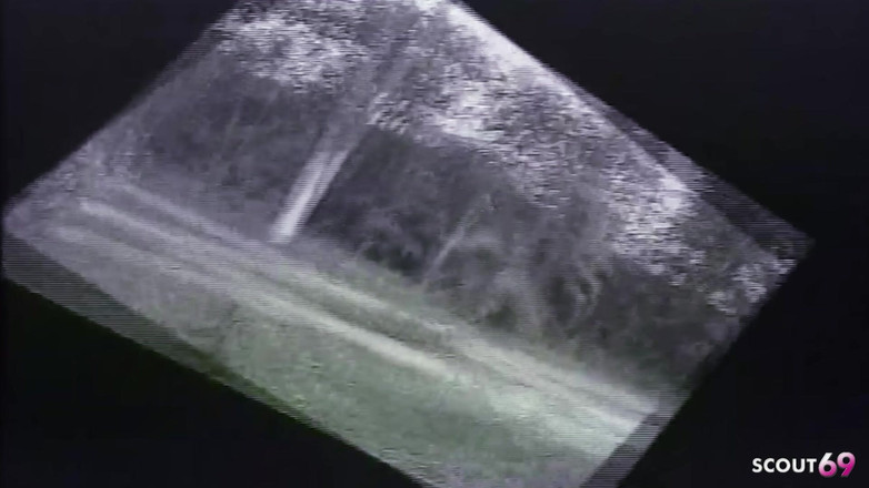 Shemale TS Collection: Shemale s velkými prsy ošukaná do těsného zadku fitness trenérem