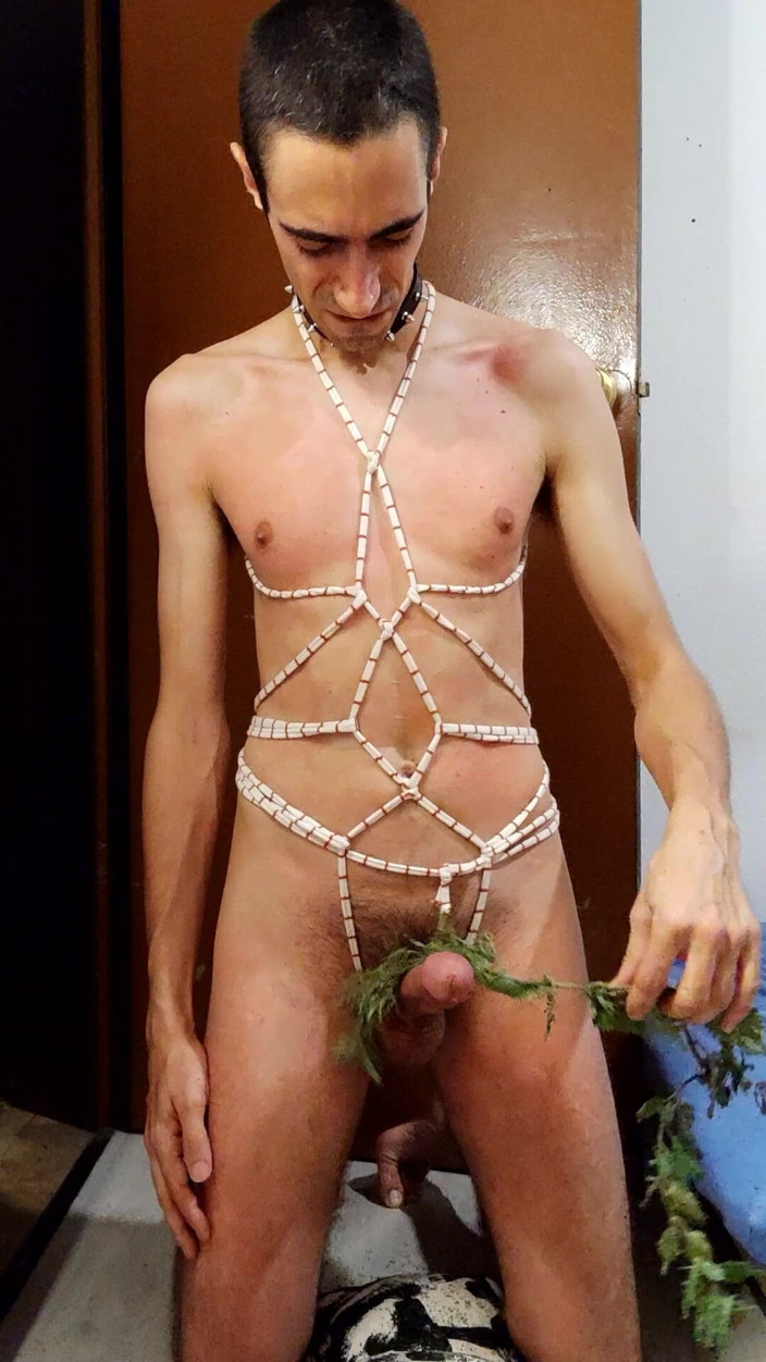 Slave Sparrow: Intense Nettle Whipping