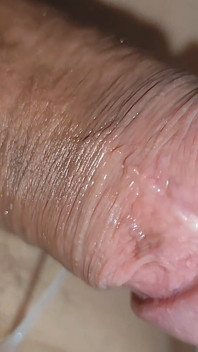 Curvilinear Pulsation of the Robust Cummed Limb
