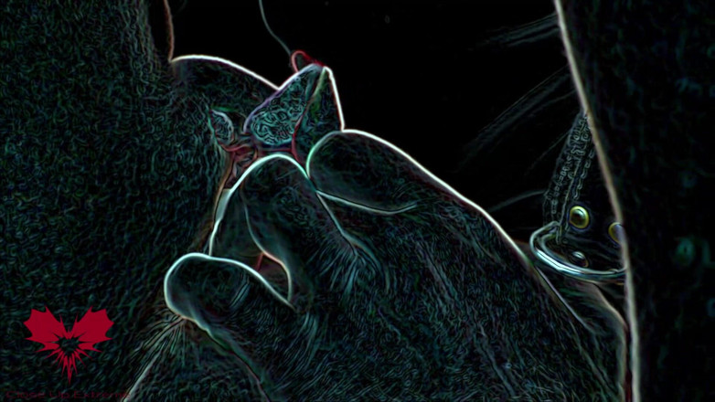 Close Up Extreme: Comiendo coño satánico. Lamiendo y chupando rituales lleva a Lilith...