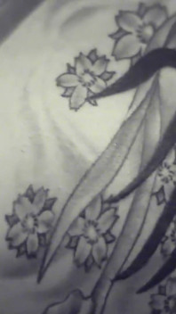 Un tatuaggio succoso su quel suo grosso culo era come un bersaglio anale
