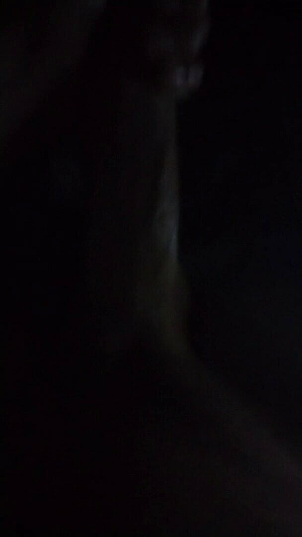 Sammybigtime: Non riesco a dormire quando questo mostro vuole attenzione. Guardare...