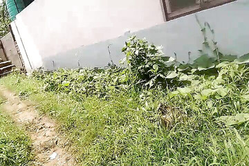 Gangbang straight: Sono andato nella stanza e ho visto la ragazza che...