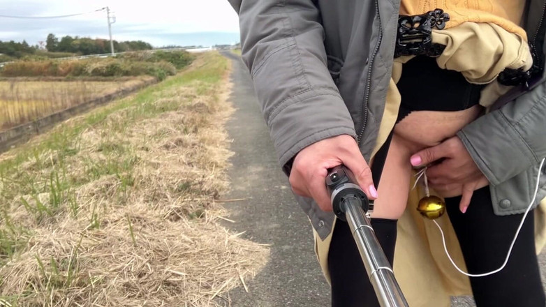 megu2002: 자가 훈련 No. 33 고속도로를 따라 걷는 새는 산책