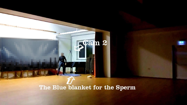 Mark Hannes: Masturbation rapide et risquée dans le Music Hall