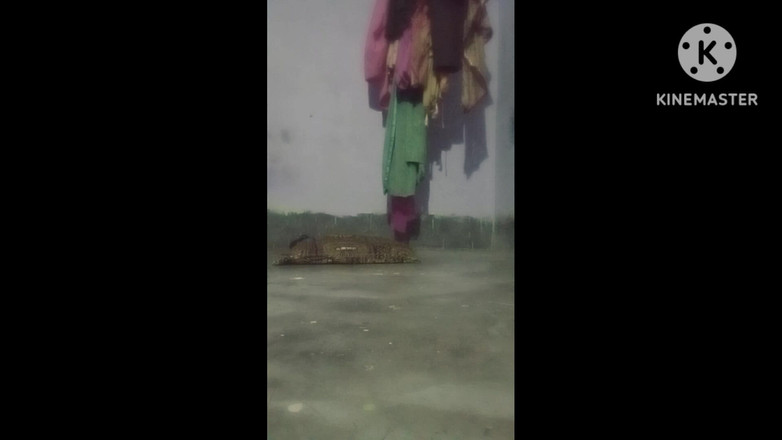 T. Sonai: 로맨틱한 로맨스를 만든 현지 가정부