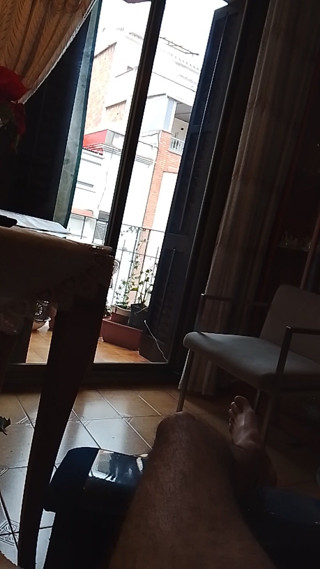 Beehive: Through the Window