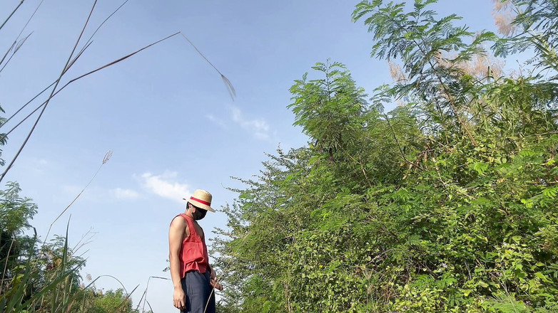 SinglePlayerBKK: Luffy Big Cock Jerk off Outdoor.