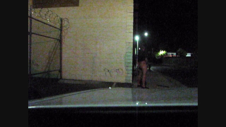 The porky pervert: 夜间人行高潮