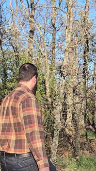 Tři chlupatí medvědi se projíždí v lese