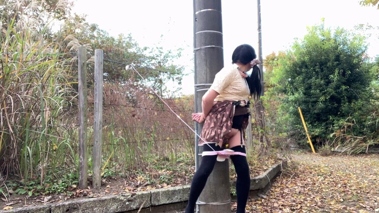 megu2002: Trainer's Direct Training No30 Bleiberotor Training im Einsatz