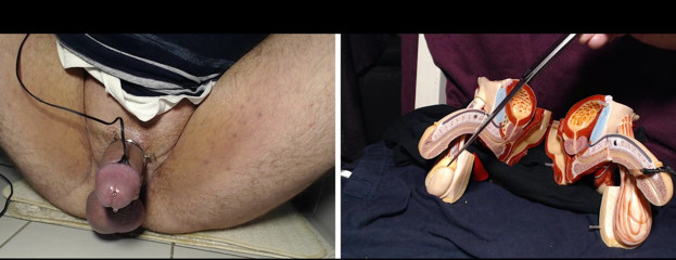 Gaylectrician: Male orgasm
