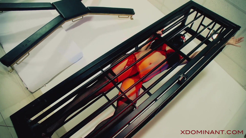 X Dominant: XDOMINANT 047 - Formação de escravos de dominação lésbica