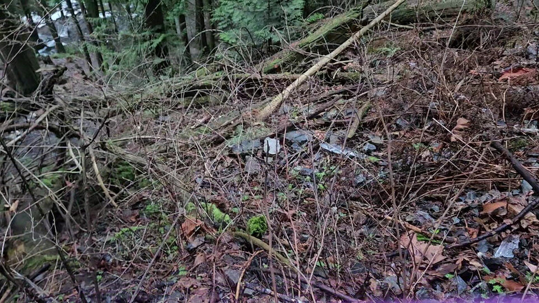 Nerdy_faery: Ice Pee अभियान