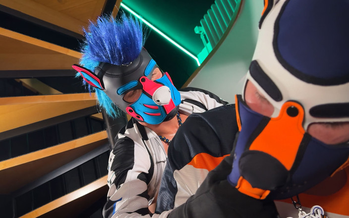 Project Y studios: いい子が待ってるよ