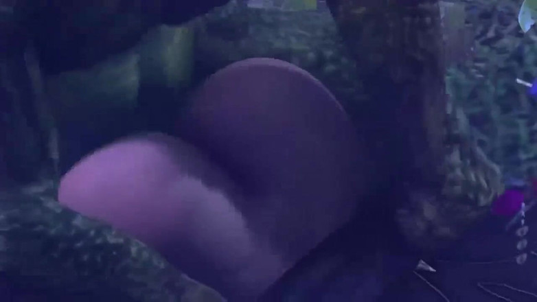 Velvixian 3D: Cazzi signora del bosco