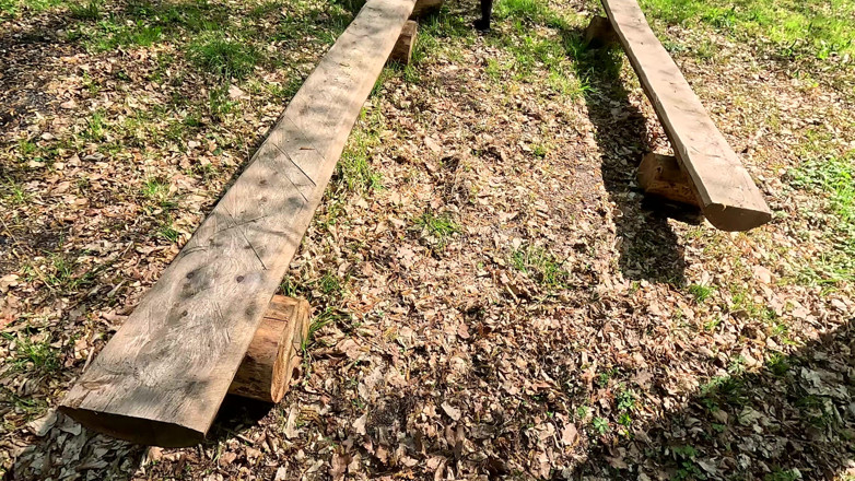 Bouncy Tits Action: Scabbard in the Forest