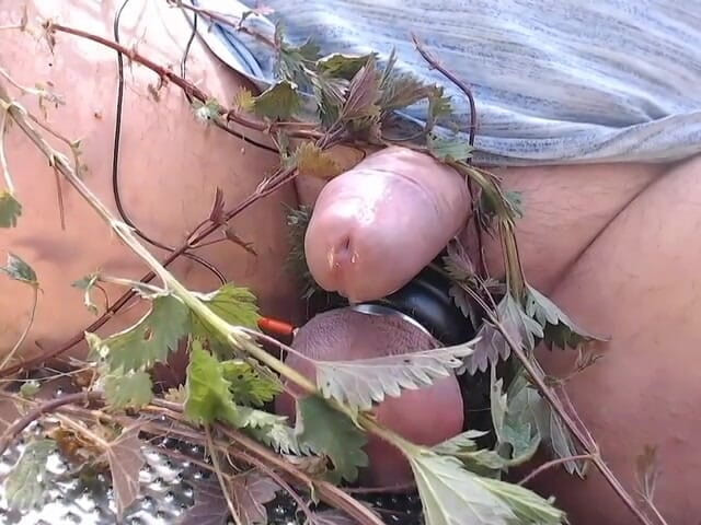 Gaylectrician: Fun with nettles