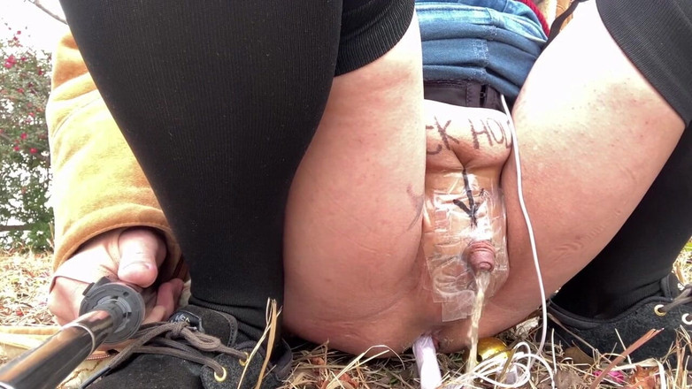 megu2002: Treinamento do Treinador Nº 89 Caminhada Exposta e Xixi em Parque...