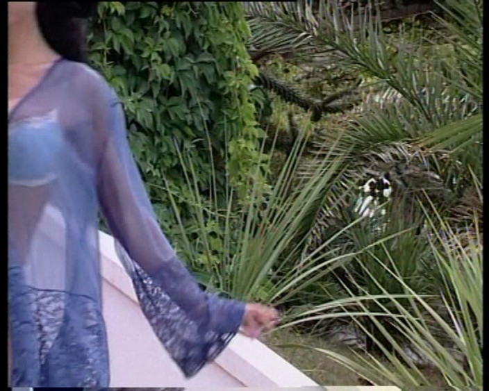 XTime Vod: Cat Women