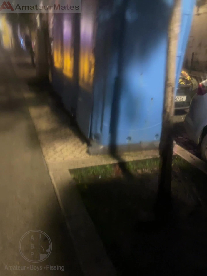 AmateurBoysPissing: Amatérský chlapec otevře pouliční veřejné toalety, přistihne svého zrzavého kamaráda...
