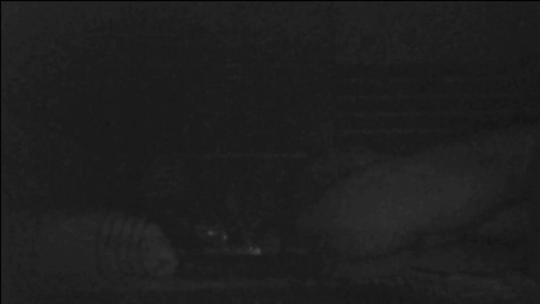 Jollyfuckingoldman: पत्नी ने पति को आया के साथ धोखा देते हुए पकड़ा