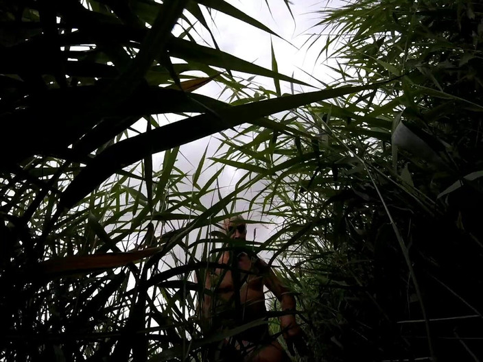 Andy: Parte 2 Camminata 46