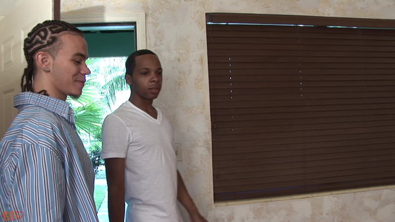 Papi Cock: Calico + Carmell - Maak het heerlijk