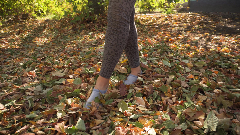Teasecombo 4K: Leaves Crunching Underfoot Asmr