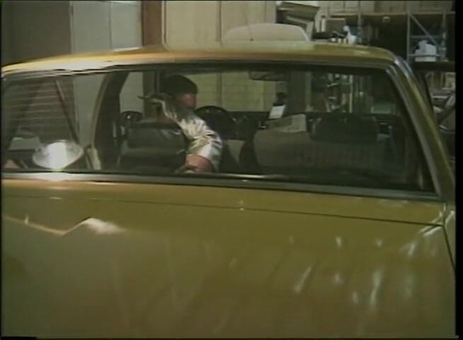 VOP Vintage: Horny brunette banged in the taxi car