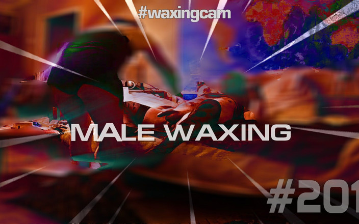WaxingCam: #201 남성 왁싱
