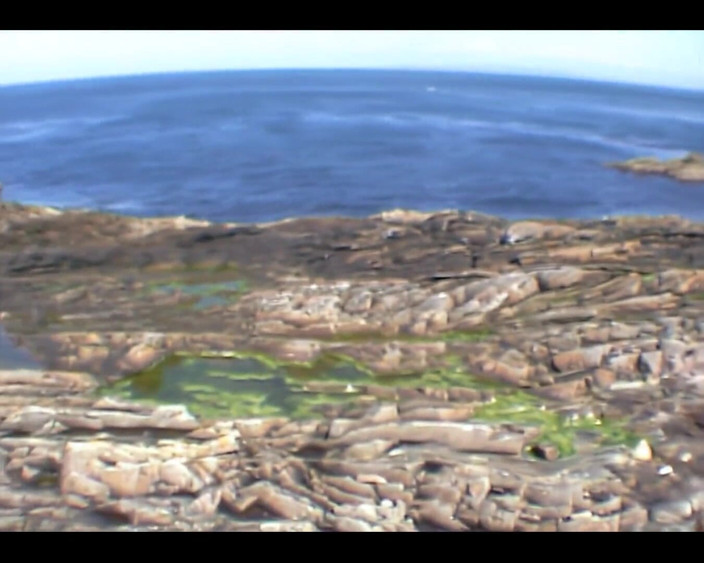 BritneySwallows: 海辺のフェラチオ
