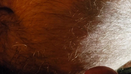 Doctor Nick: Hamam flip bölüm 2