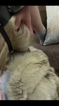 Nasty Deepthroat