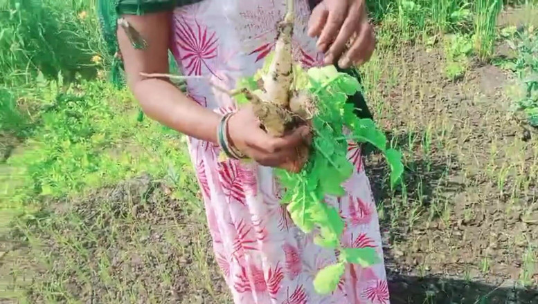 Bk Vlogs: Desi Bhabhi var knullad i fält