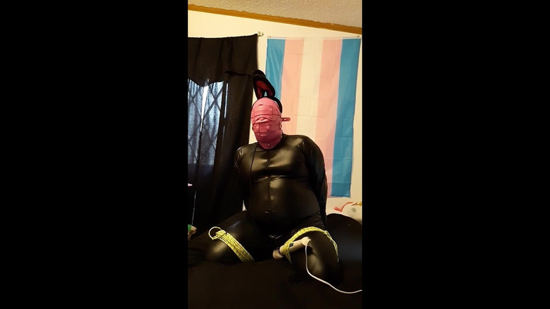 Roxxie rae page: Iepuraș cu robie