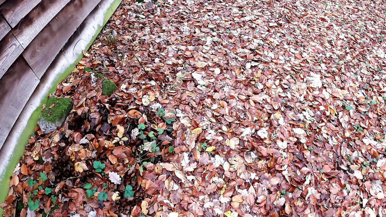 Bouncy Tits Action: Bugil di Balik Gubuk, Toketnya Dihukum